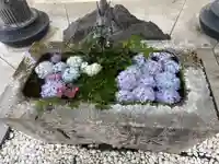 堤治神社(愛知県)