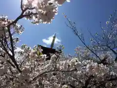 四天王寺の自然