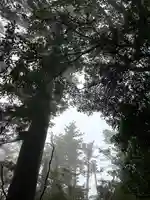 屋久島大社の庭園