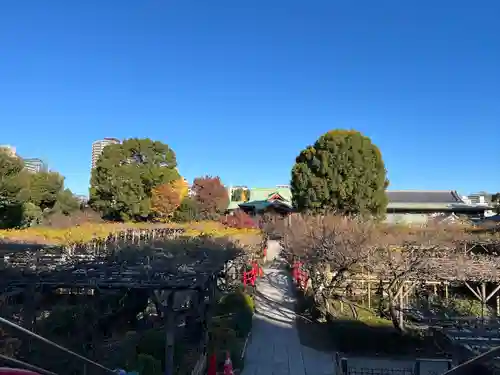 亀戸天神社(東京都)