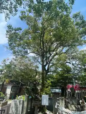 下庄八幡神社(福岡県)