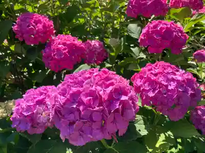 蓮華峯寺(新潟県)