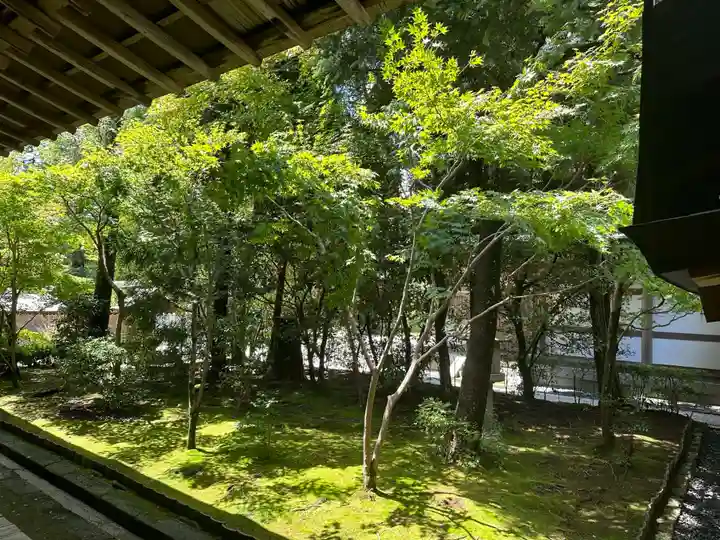 龍安寺(京都府)