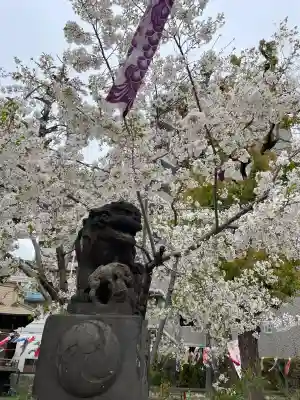 磐井神社(東京都)