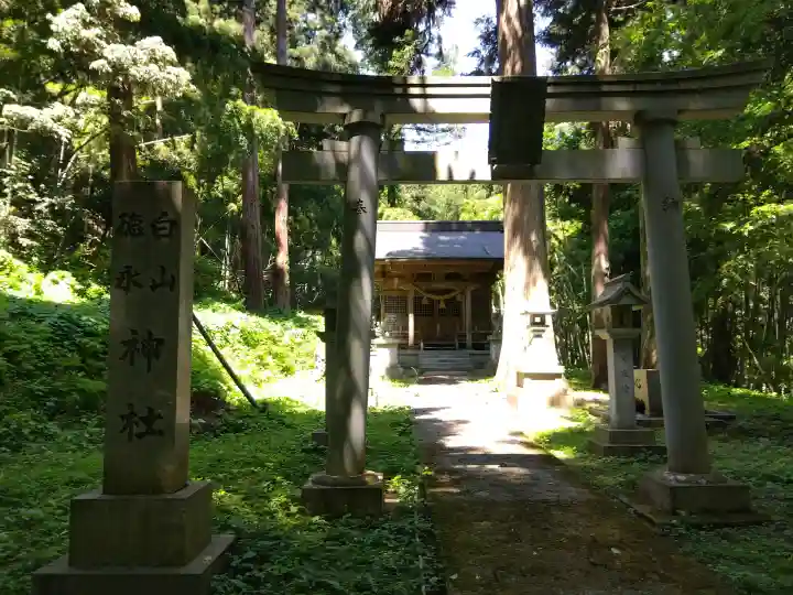 白山神社(徳永神社)の{uncategorized: "未分類", other: "その他", undefined: "問題あり", building: "その他建物", grave: "お墓", sacred_gate: "鳥居", guardian: "狛犬", statue: "像", buddha: "仏像", history: "歴史", nature: "自然", garden: "庭園", animal: "動物", pagoda: "塔", temizu: "手水舎", mountain_gate: "山門・神門", sanctuary: "本殿・本堂", subordinate: "末社・摂社", art: "芸術", scenery: "景色", jizo: "地蔵", ema: "絵馬", goshuin: "御朱印", omikuji: "おみくじ", items: "授与品その他", amulet: "お守り", goshuincho: "御朱印帳", eats: "食事", festival: "お祭り", votive_dance: "神楽", shichigosan: "七五三参", wedding: "結婚式", experience: "体験その他", initially: "初詣", around: "周辺", anti_infection: "感染症対策"}
