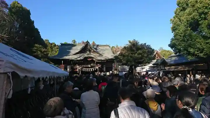 秩父神社(埼玉県)