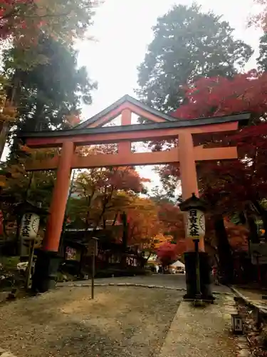 日吉大社の鳥居