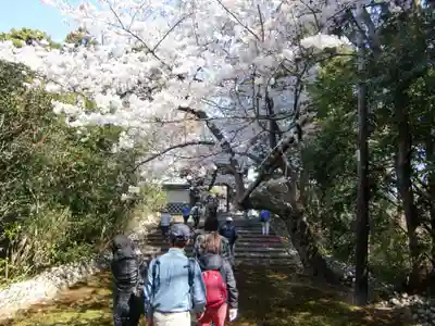 鎌田神明宮(静岡県)