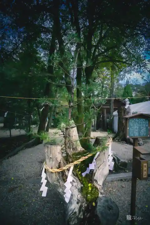 大和神社(奈良県)