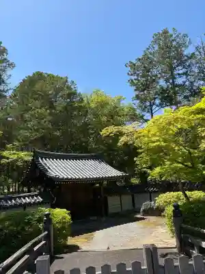 西芳寺の{uncategorized: "未分類", other: "その他", undefined: "問題あり", building: "その他建物", grave: "お墓", sacred_gate: "鳥居", guardian: "狛犬", statue: "像", buddha: "仏像", history: "歴史", nature: "自然", garden: "庭園", animal: "動物", pagoda: "塔", temizu: "手水舎", mountain_gate: "山門・神門", sanctuary: "本殿・本堂", subordinate: "末社・摂社", art: "芸術", scenery: "景色", jizo: "地蔵", ema: "絵馬", goshuin: "御朱印", omikuji: "おみくじ", items: "授与品その他", amulet: "お守り", goshuincho: "御朱印帳", eats: "食事", festival: "お祭り", votive_dance: "神楽", shichigosan: "七五三参", wedding: "結婚式", experience: "体験その他", initially: "初詣", around: "周辺", anti_infection: "感染症対策"}