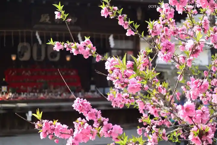 素盞雄神社(東京都)