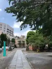 今戸神社の建物その他