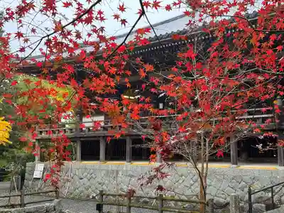 播州清水寺(兵庫県)