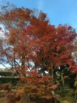 清水寺(京都府)