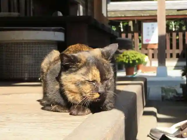 梅宮大社(京都府)