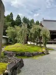 西芳寺の庭園