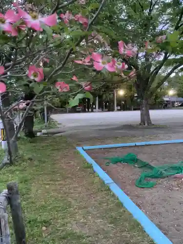 溝旗神社（肇國神社）の自然