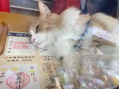 駒込妙義神社(東京都)