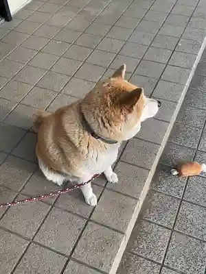 笠䅣稲荷神社(神奈川県)