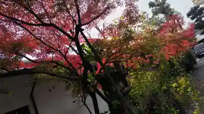 賀茂波爾神社（賀茂御祖神社境外摂社）(京都府)