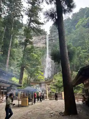 飛瀧神社（熊野那智大社別宮）の{uncategorized: "未分類", other: "その他", undefined: "問題あり", building: "その他建物", grave: "お墓", sacred_gate: "鳥居", guardian: "狛犬", statue: "像", buddha: "仏像", history: "歴史", nature: "自然", garden: "庭園", animal: "動物", pagoda: "塔", temizu: "手水舎", mountain_gate: "山門・神門", sanctuary: "本殿・本堂", subordinate: "末社・摂社", art: "芸術", scenery: "景色", jizo: "地蔵", ema: "絵馬", goshuin: "御朱印", omikuji: "おみくじ", items: "授与品その他", amulet: "お守り", goshuincho: "御朱印帳", eats: "食事", festival: "お祭り", votive_dance: "神楽", shichigosan: "七五三参", wedding: "結婚式", experience: "体験その他", initially: "初詣", around: "周辺", anti_infection: "感染症対策"}
