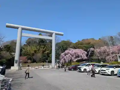 櫻木神社(千葉県)