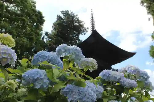 国宝 大法寺の自然