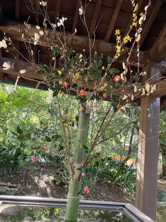 赤坂氷川神社(東京都)