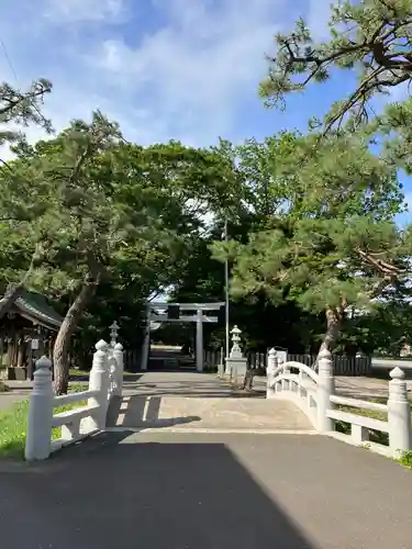 亀田八幡宮の鳥居