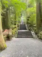 箱根神社の御朱印