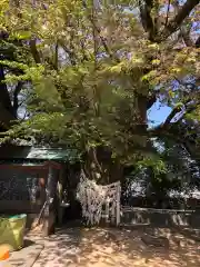 王子神社(徳島県)