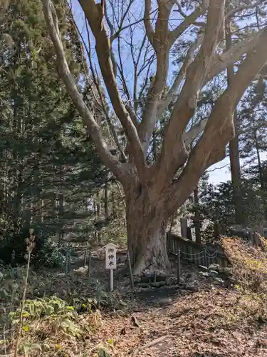 函館八幡宮(北海道)