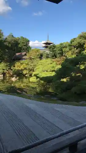 仁和寺の庭園