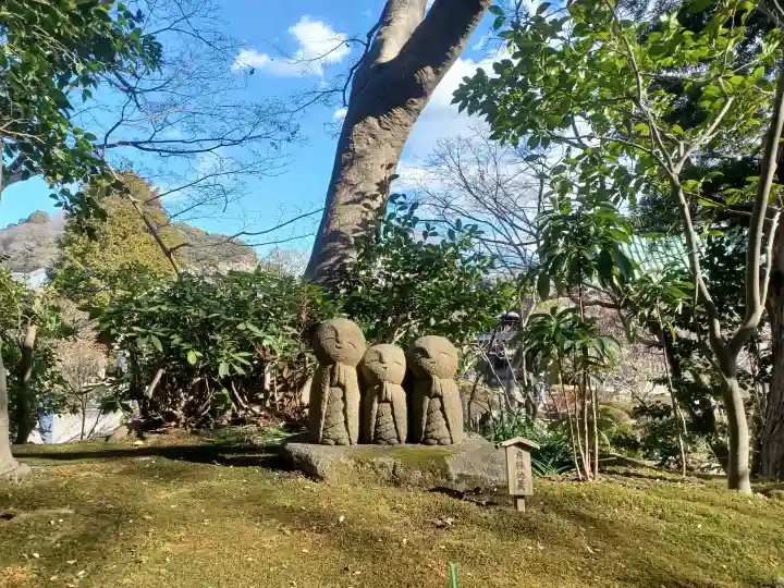 長谷寺の{uncategorized: "未分類", other: "その他", undefined: "問題あり", building: "その他建物", grave: "お墓", sacred_gate: "鳥居", guardian: "狛犬", statue: "像", buddha: "仏像", history: "歴史", nature: "自然", garden: "庭園", animal: "動物", pagoda: "塔", temizu: "手水舎", mountain_gate: "山門・神門", sanctuary: "本殿・本堂", subordinate: "末社・摂社", art: "芸術", scenery: "景色", jizo: "地蔵", ema: "絵馬", goshuin: "御朱印", omikuji: "おみくじ", items: "授与品その他", amulet: "お守り", goshuincho: "御朱印帳", eats: "食事", festival: "お祭り", votive_dance: "神楽", shichigosan: "七五三参", wedding: "結婚式", experience: "体験その他", initially: "初詣", around: "周辺", anti_infection: "感染症対策"}