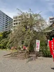 福傳寺の自然