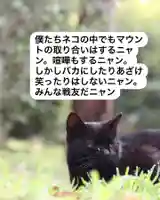 専念寺(大阪府)