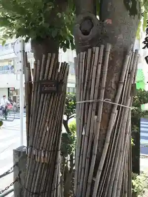 榎大六天神のその他建物