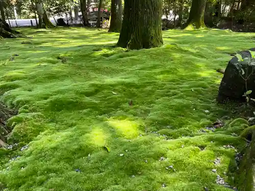 都農神社(宮崎県)