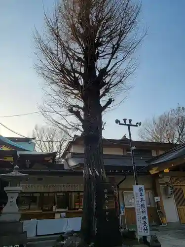 居木神社の自然