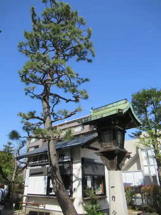 桜神宮(東京都)