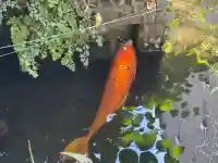 厳島神社(港町弁財天)(千葉県)