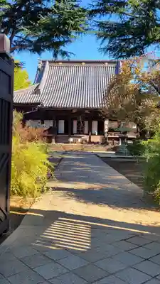 寛永寺(根本中堂)の本殿・本堂