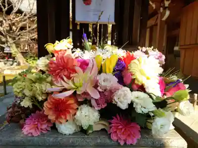 勝林寺(京都府)