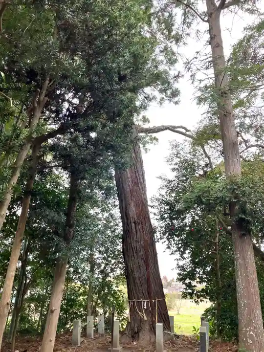 南宮神社(千葉県)