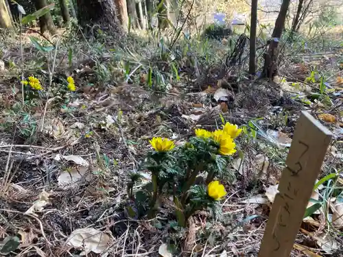 岩戸別神社(栃木県)