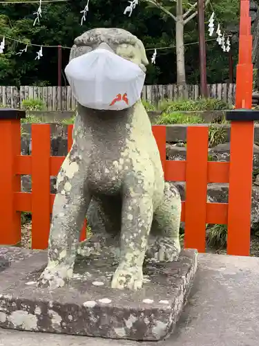 鶴岡八幡宮の狛犬