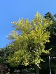 蹉跎神社(大阪府)