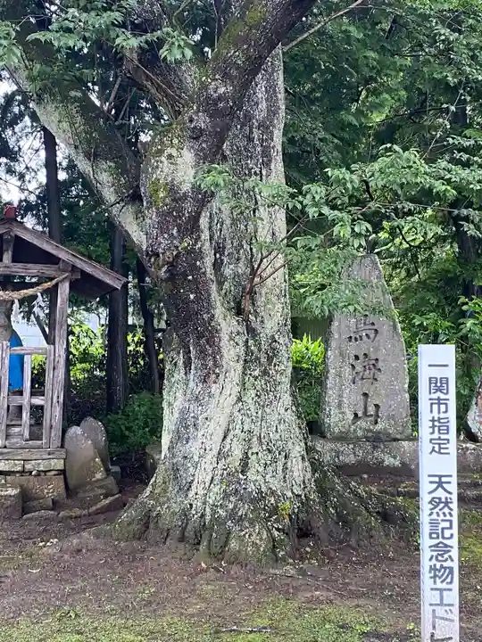温泉神社の自然
