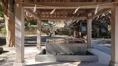 安房神社の手水舎