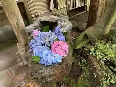 宮地嶽神社の手水舎